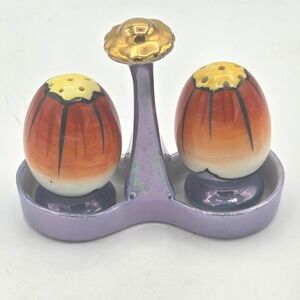 Vintage Hand-Painted Tulip Salt & Pepper Shakers with Stand